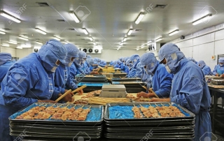 Workers in a meat processing production line, in a food processing enterprise, on December 20, 2013, tangshan city, hebei province, China.